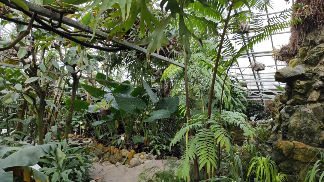 Leuven Botanic Garden