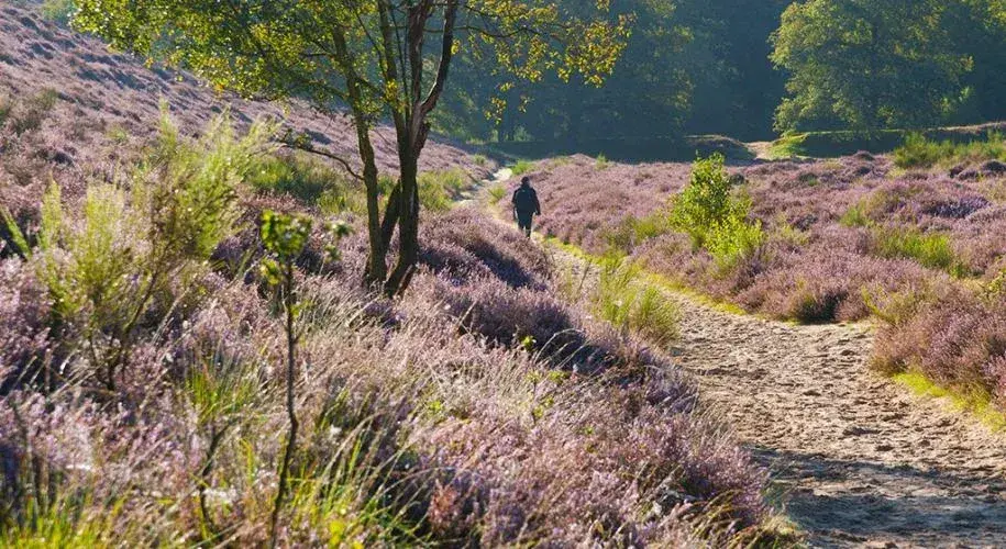 Hoge Kempen National Park