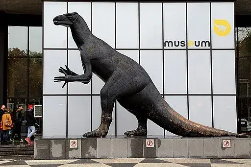 Museum of Natural Sciences