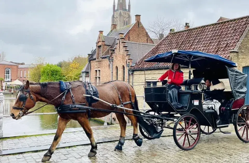 Horse Carriage Rides